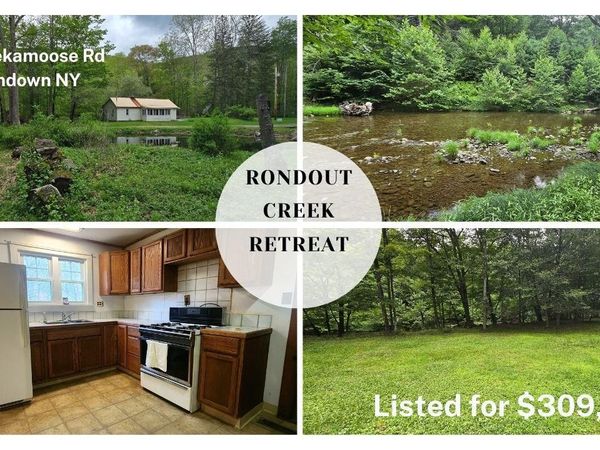 71 Peekamoose Road, Sundown, NY 12740