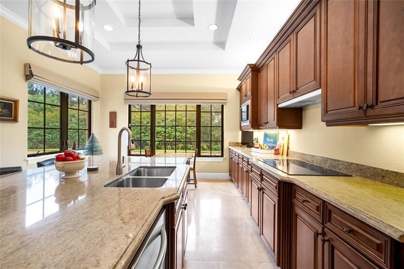 8100 Emerald Ave, Parkland, FL 33076 Photo