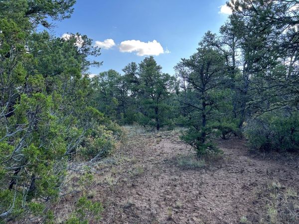 Lot R McComb Pass, Edgewood, NM 87015