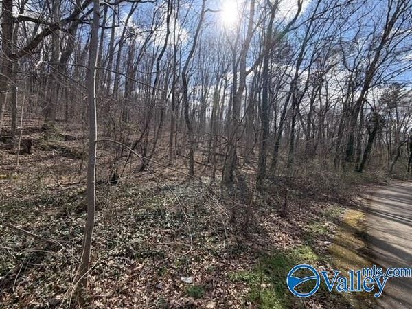3711 Wilborn Avenue, Fort Payne, AL 35967