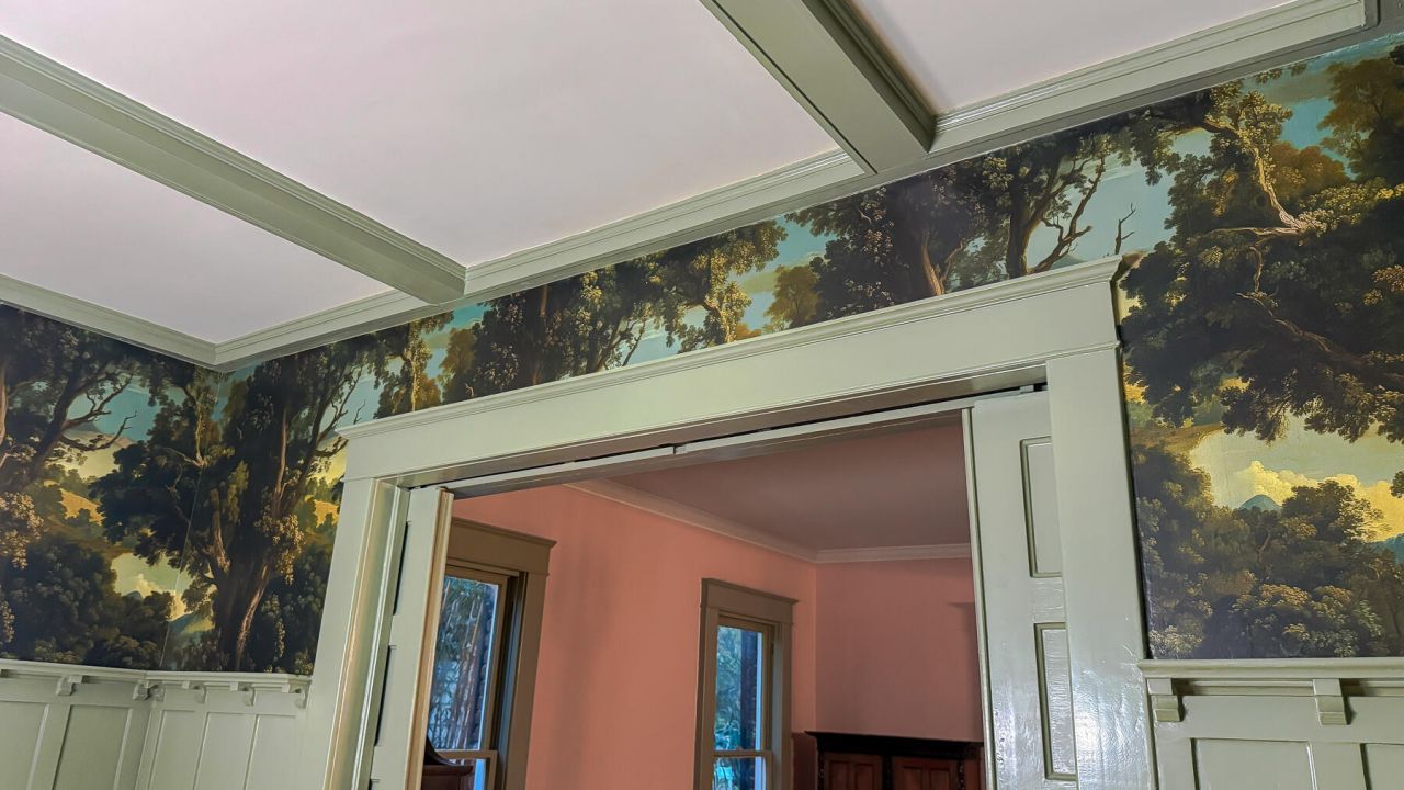 173 Tradd Street Photo 63