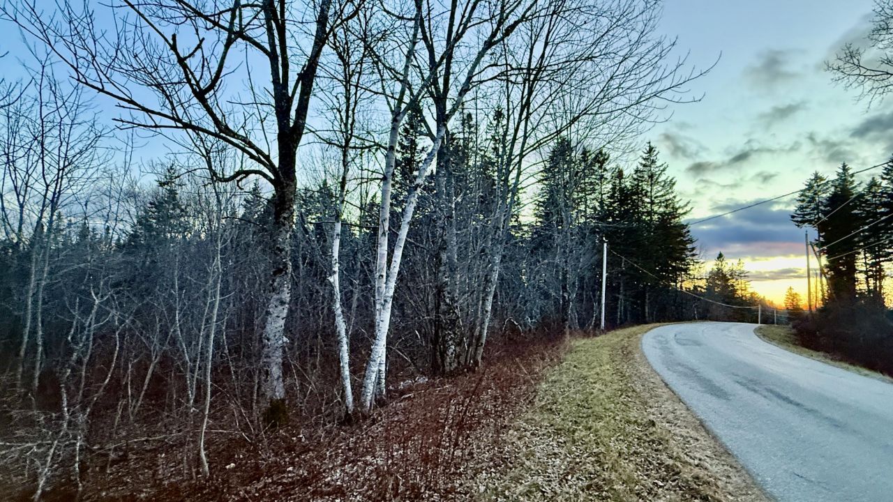 28.4 Wilcox Road, Trescott Township, ME 04652 Main Photo