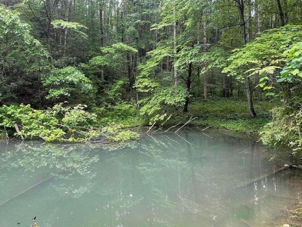 TBD Black Mountain Road, Hartford, TN 37753