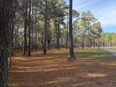 00 Myers Mayo Road, Unit Lot 2, Ridgeville, SC 29472