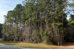 00 Myers Mayo Road photo 4