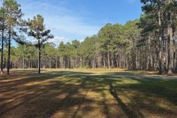 00 Myers Mayo Road photo 4