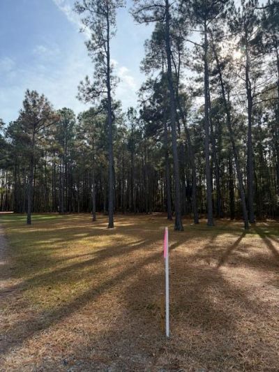 00 Myers Mayo Road Photo 4