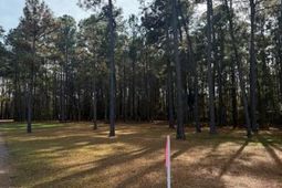 00 Myers Mayo Road photo 4