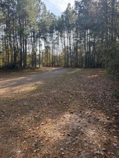 00 Myers Mayo Road Photo 5