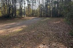 00 Myers Mayo Road photo 4