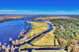 356 Rossdhu Ave. photo 4