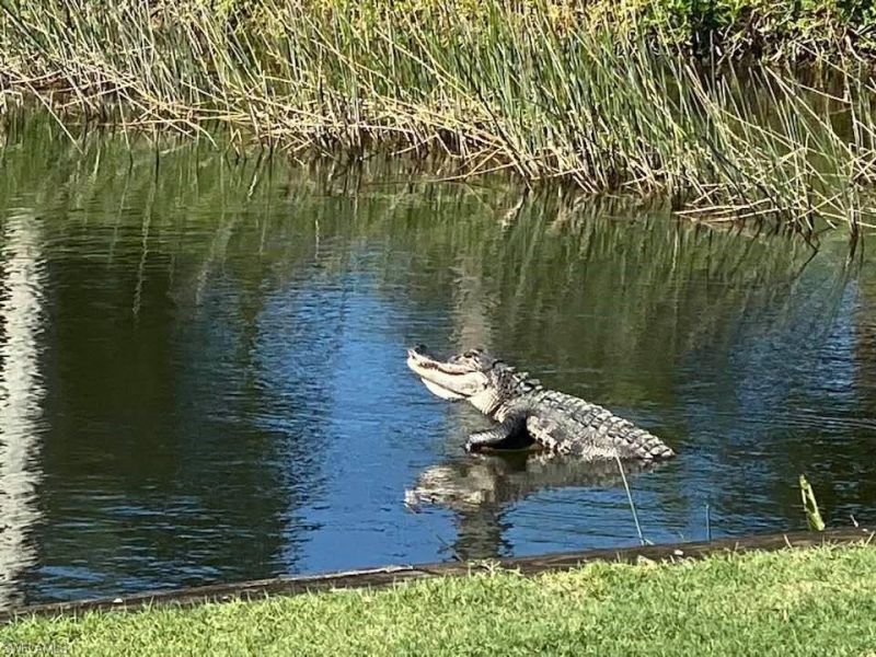 10285 Bismark Palm Way, Unit 1043, Fort Myers, FL 33966 Photo