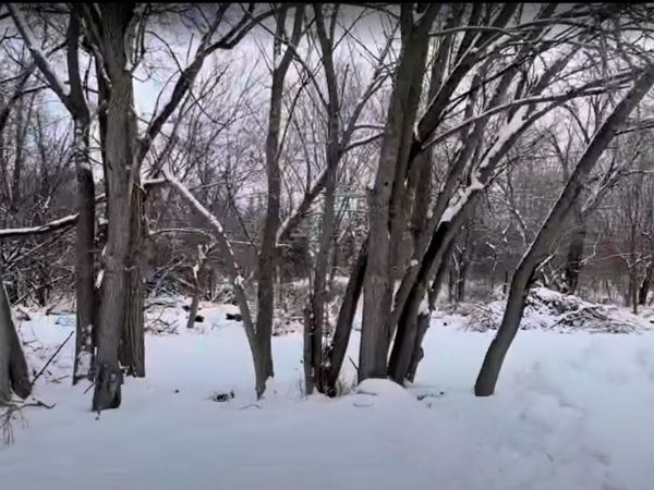 Vacant Heiden Avenue, Crest Hill, IL 60403