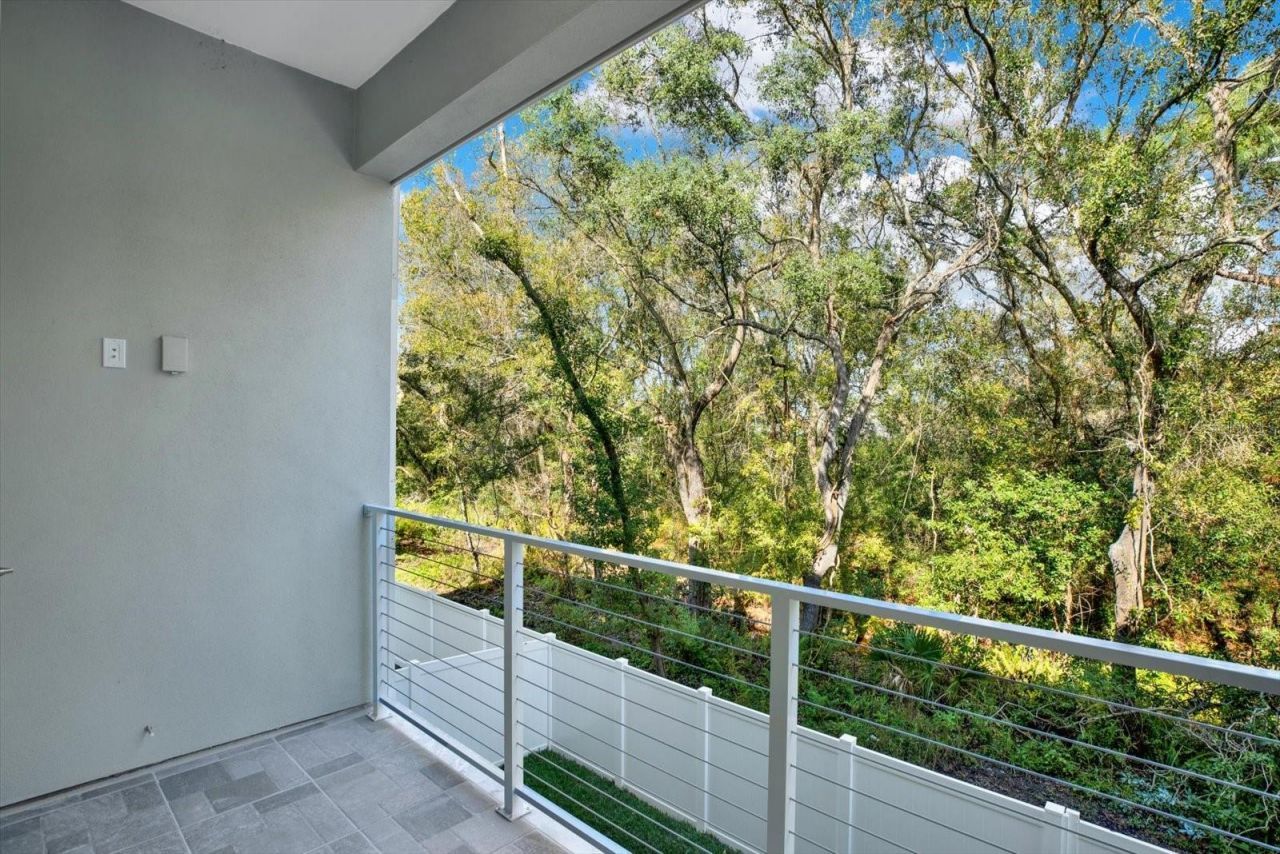 3847 Seena Manor Court, Tampa, FL 33618 Photo