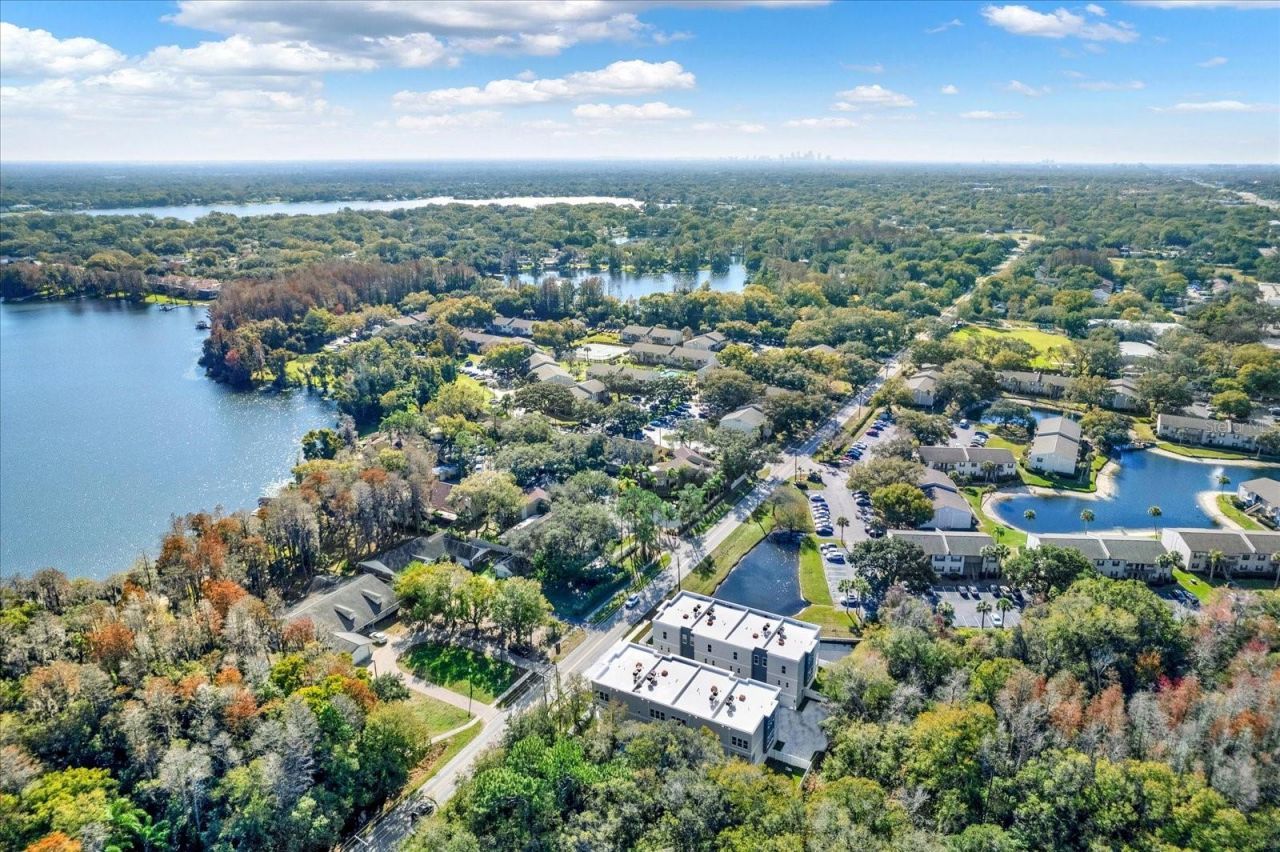 3847 Seena Manor Court, Tampa, FL 33618 Photo