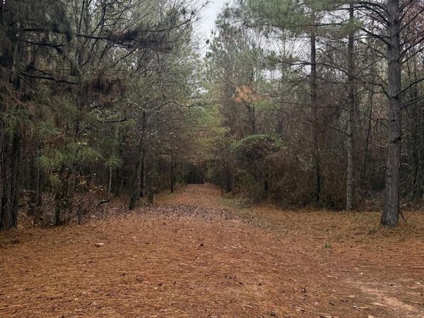 TBD Loan Oak Road, Lockesburg, AR 71846