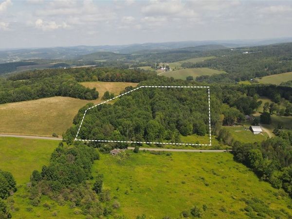 Ramey Road, Pittsfield, NY 13411