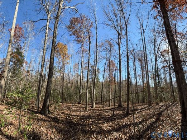 Lot 4 Diggstown Rd , Bumpass, VA 23024