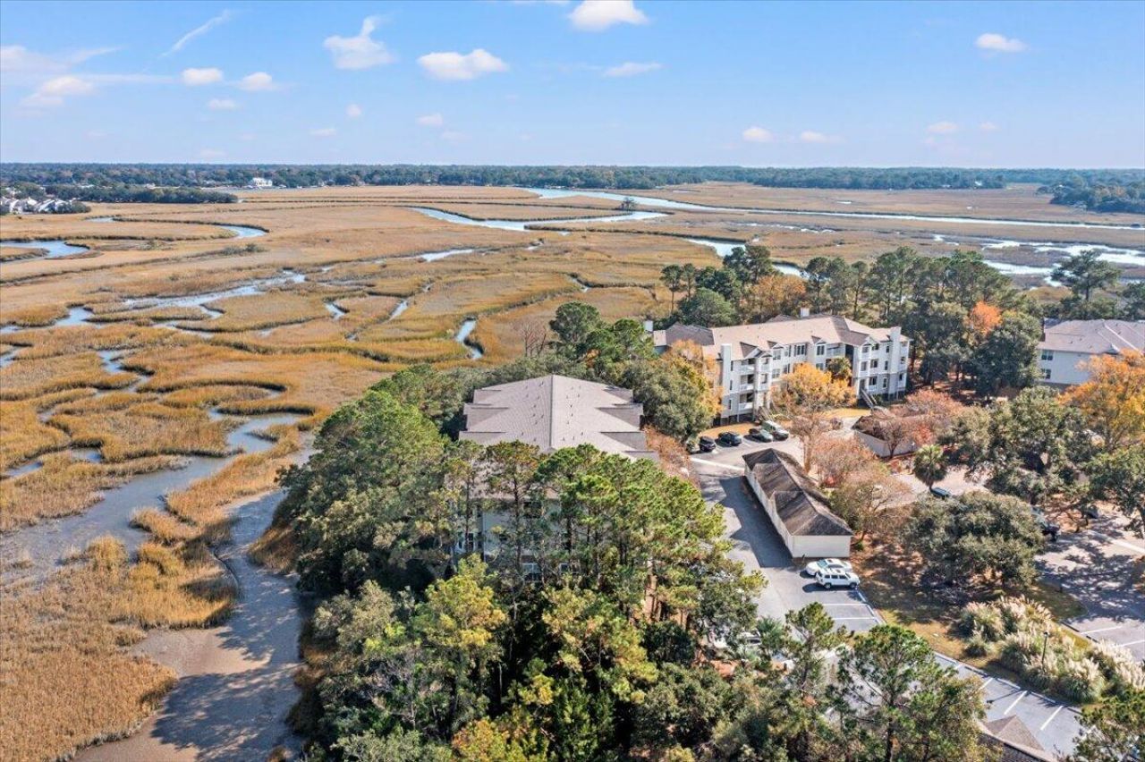 700 Daniel Ellis Drive Photo 44