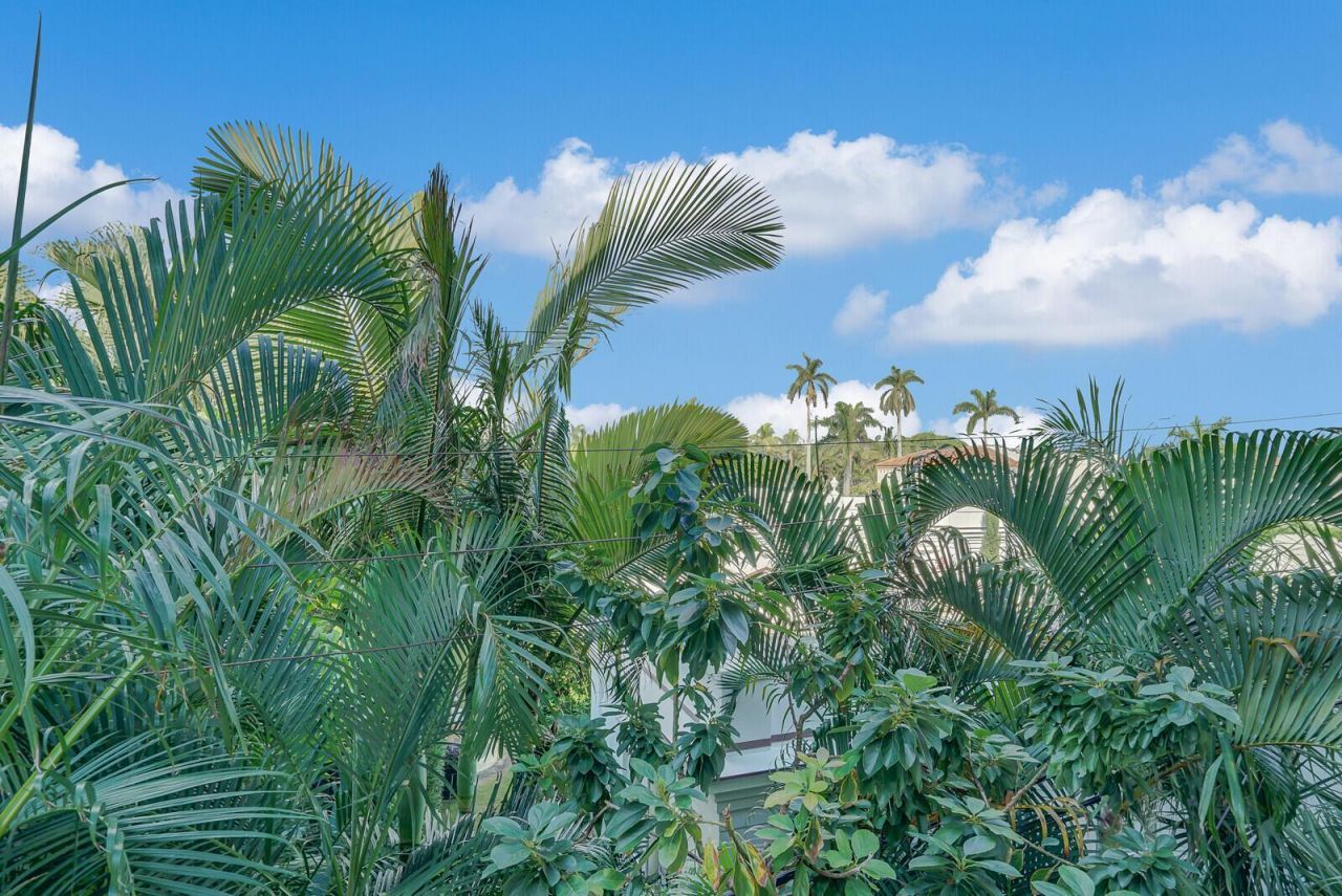 223 Atlantic Avenue, Unit 3f, Palm Beach, FL 33480 Photo