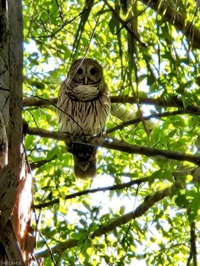 10110 Colonial Country Club Blvd, Unit 105, Fort Myers, FL 33913 Photo