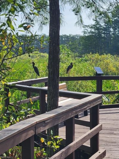 10110 Colonial Country Club Blvd, Unit 105, Fort Myers, FL 33913 Photo