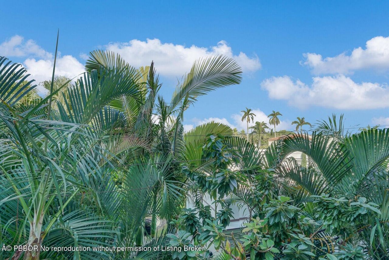 223 Atlantic Avenue, Unit 3F, Palm Beach, FL 33480 Photo