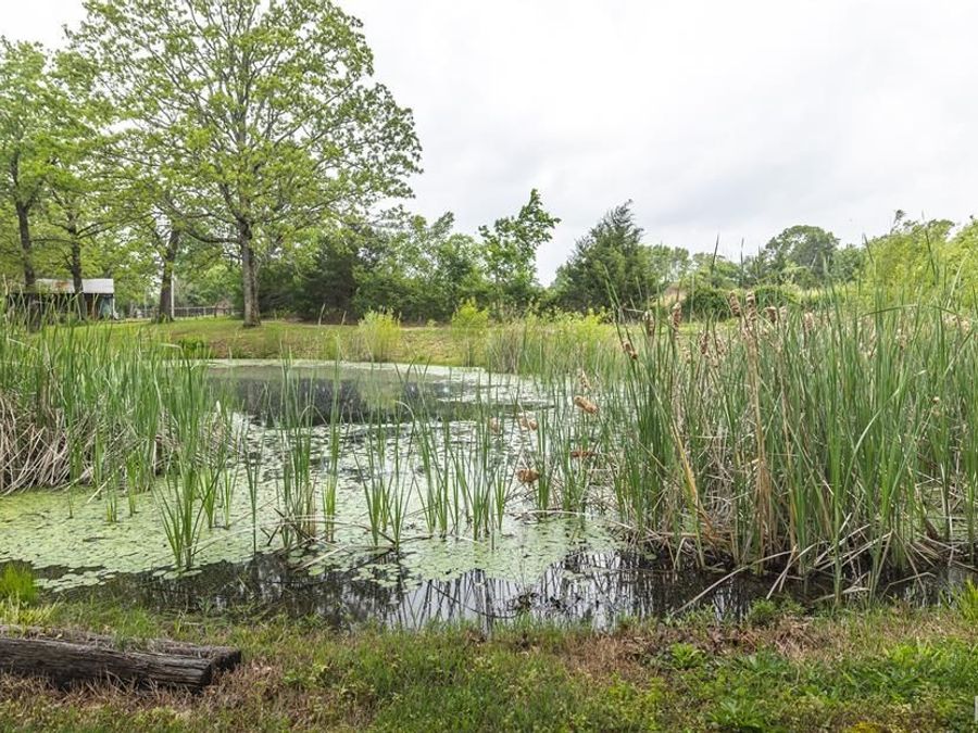 Property Image 37