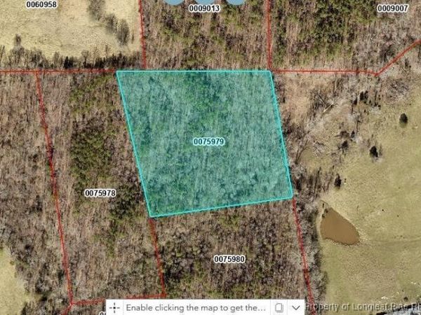 0 J Dowdy Road, Goldston, NC 27252