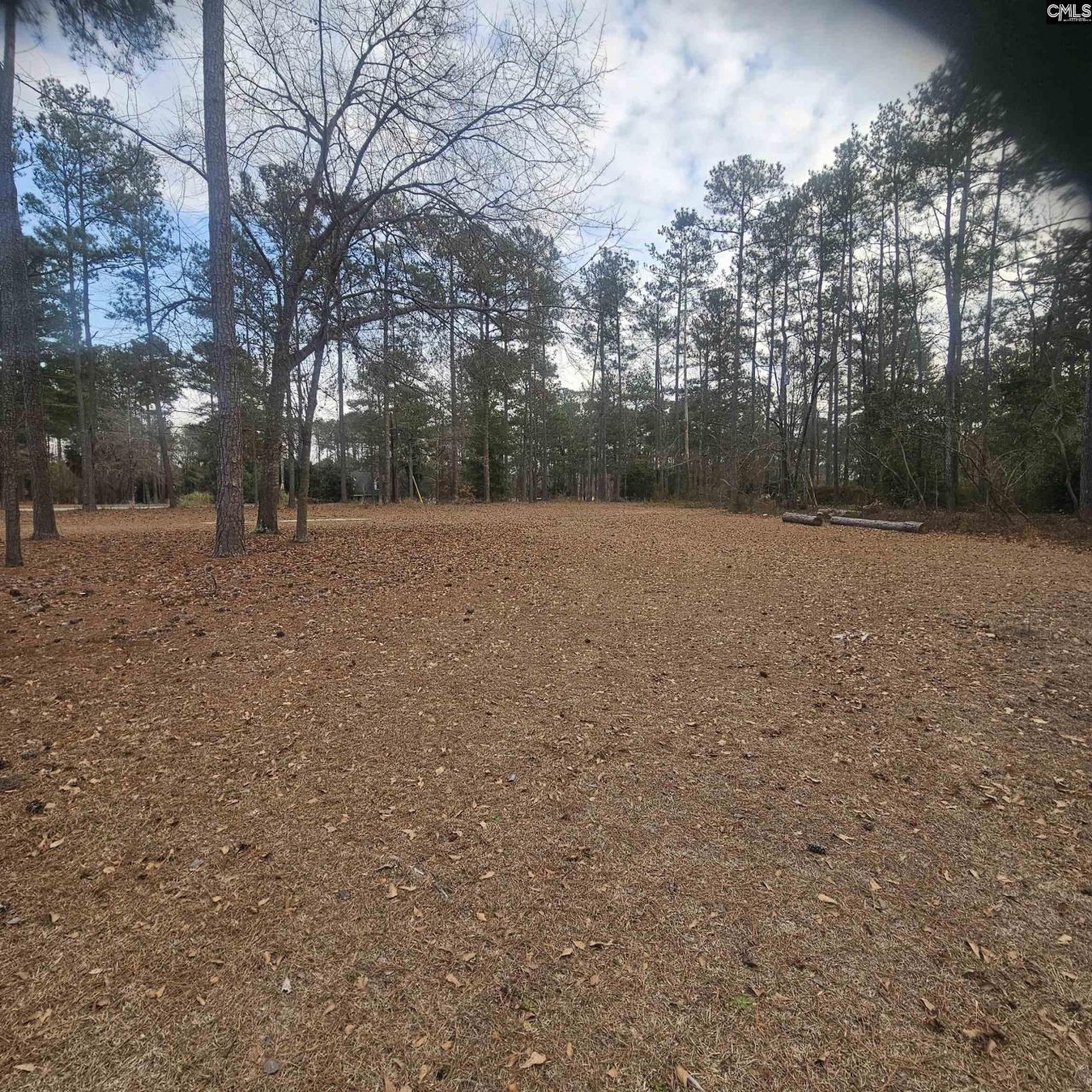 133 Tam O Shanter Drive Photo 81