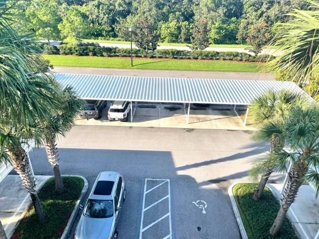 7019 River Hammock Drive, Unit 404, Bradenton, FL 34212 Photo