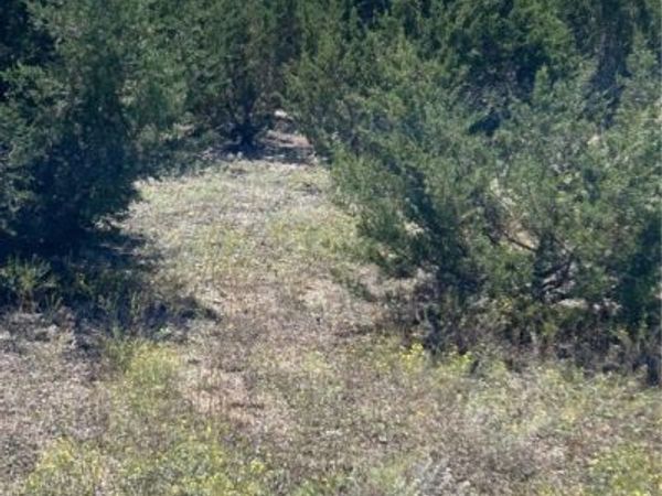 101 Cedar Hill Drive , Gatesville, TX 76528