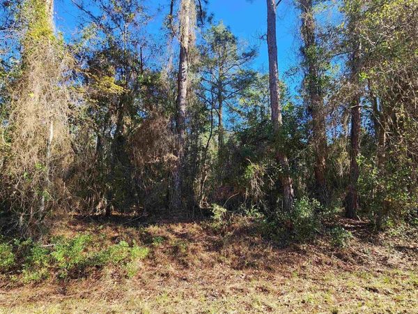 131 Georgetown Denver Rd, Georgetown, FL 32139