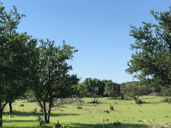 0 0, Rocksprings, TX 78880