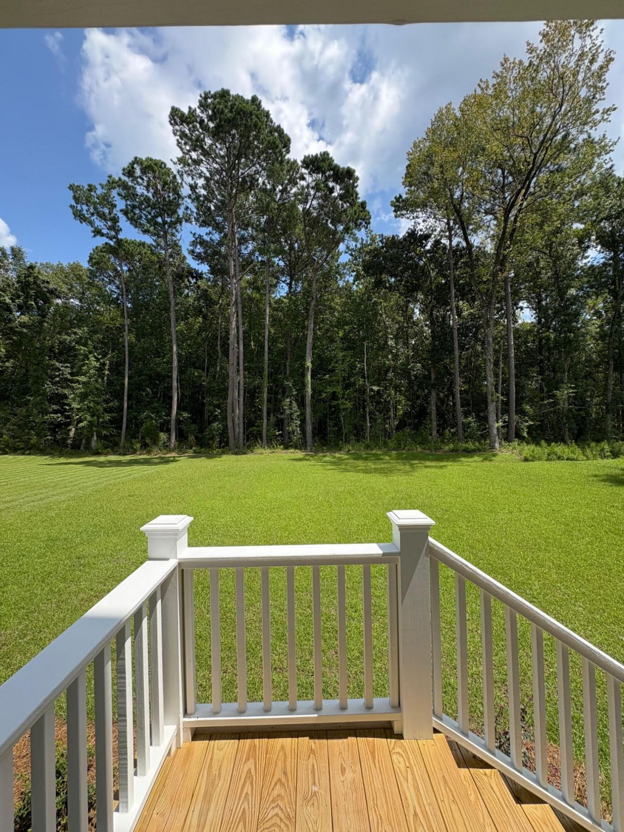 3845 Delinger Drive Photo 46