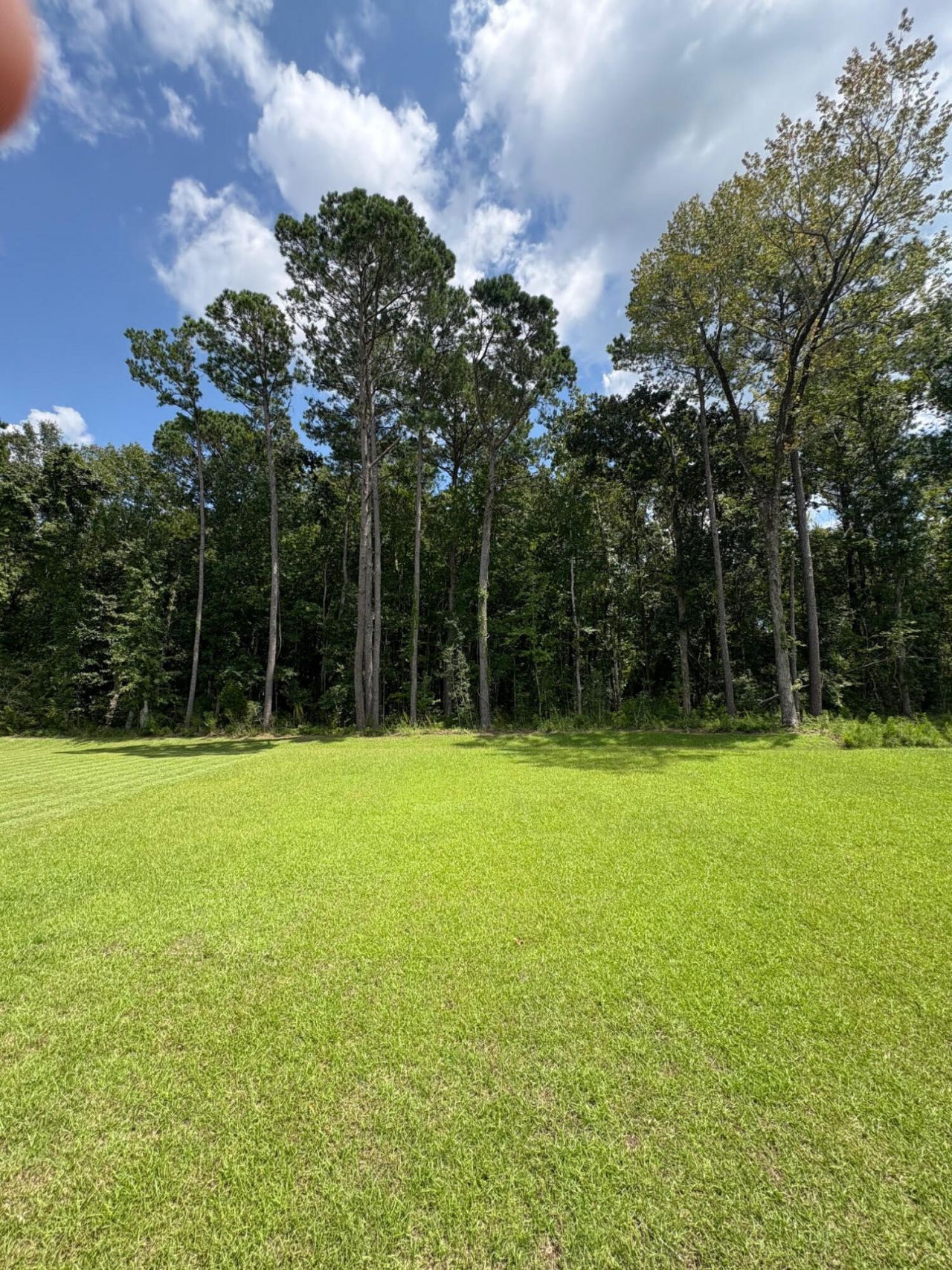 3845 Delinger Drive Photo 47