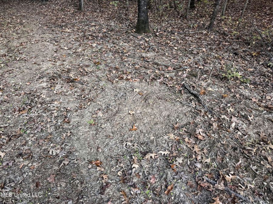 Property Image 64