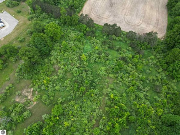 Juniper Drive, Farwell, MI 48622