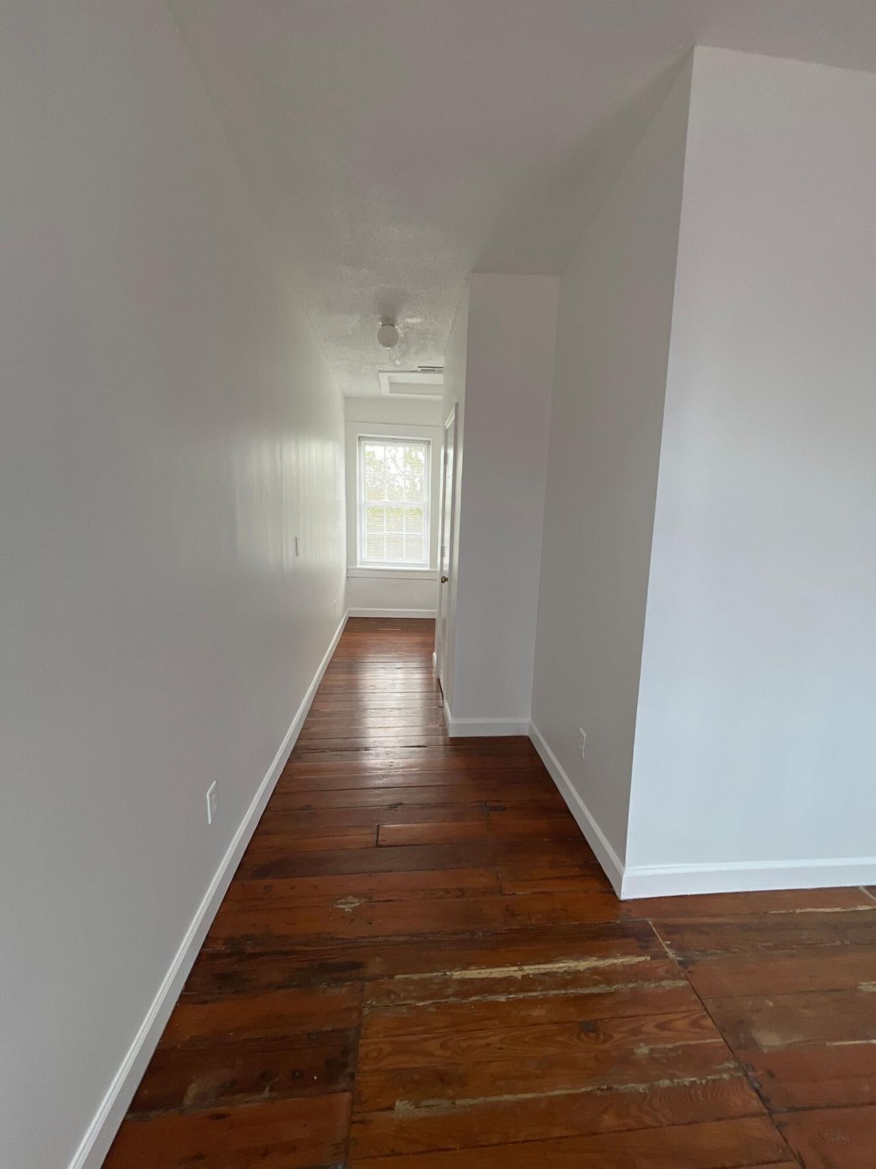 126 Alexander Street Photo 12