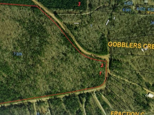 0 Arrowhead Drive, Delta, AL 36258