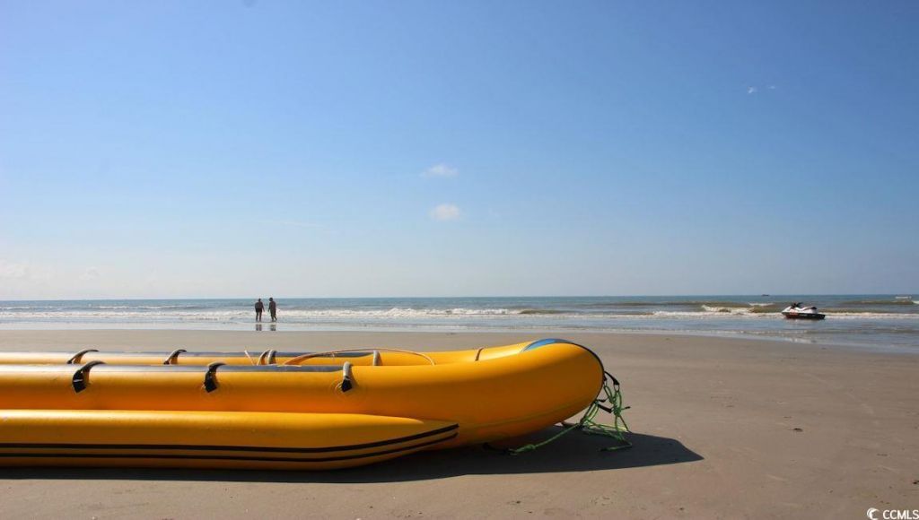 266 Ridley St Photo 29