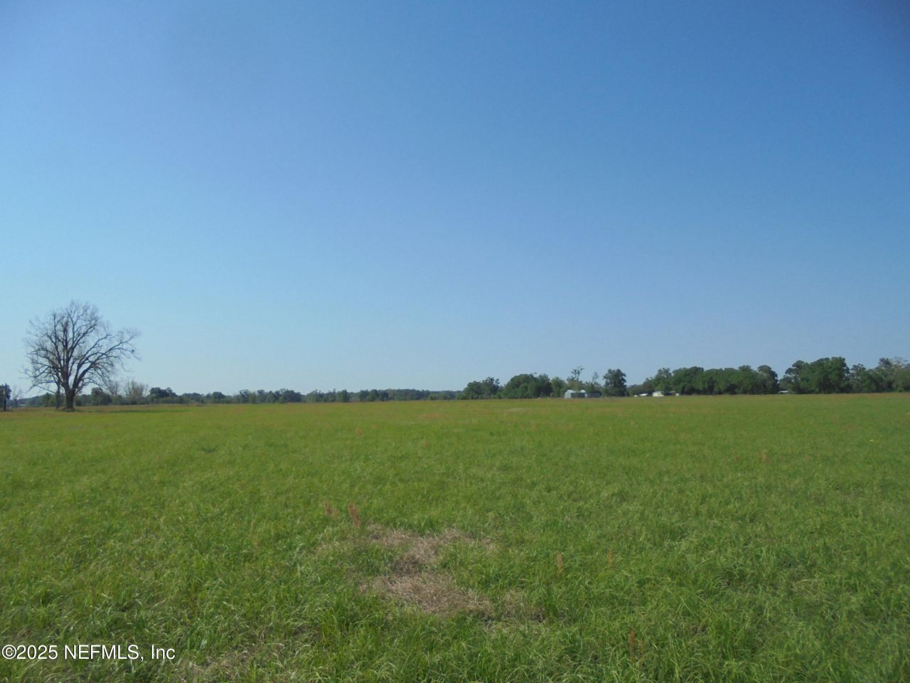 8516 240 Street, O'brien, FL 32071 Photo