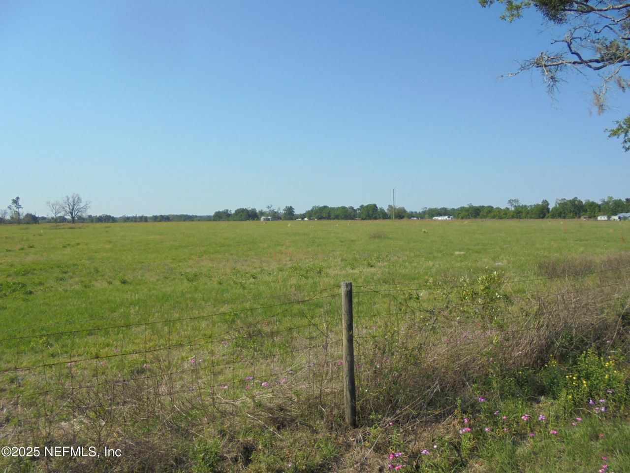8516 240 Street, O'brien, FL 32071 Photo