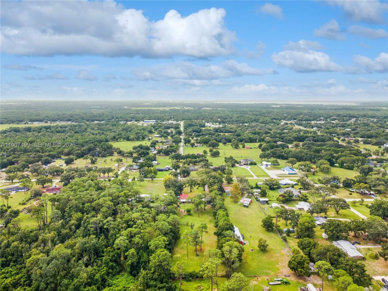 1950 Foxhollow Dr E, Auburndale, FL 33823 Photo