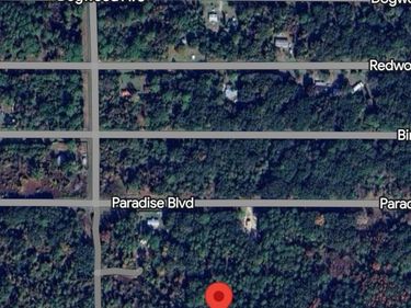 312 Laisy Dr, Georgetown, FL 32139