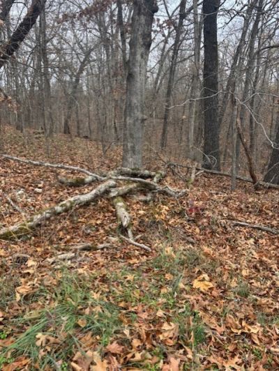 Exmoor Lane, Bella Vista, AR 72715 Main Photo