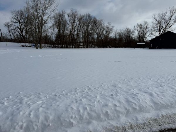 Open Lot Browers Street E, Waterville, MN 56096