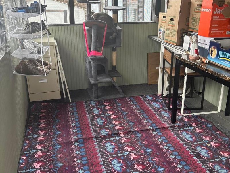 151 Cambridge Court, Reynoldsburg, OH 43068 Photo 20