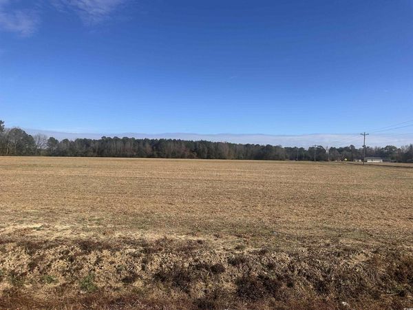SE Elvington Rd., Nichols, SC 29581