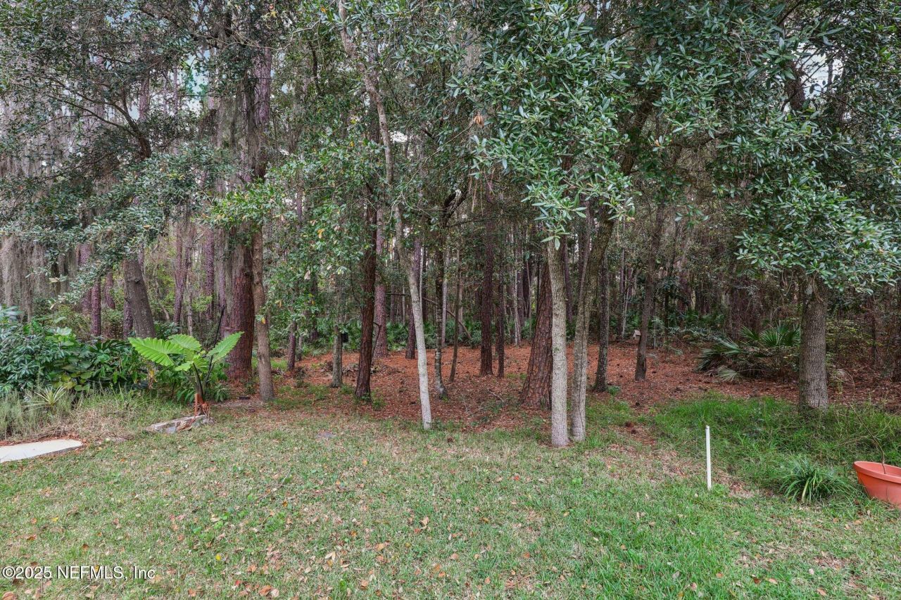 12349 Shady Bridge Trail, Jacksonville, FL 32258 Photo